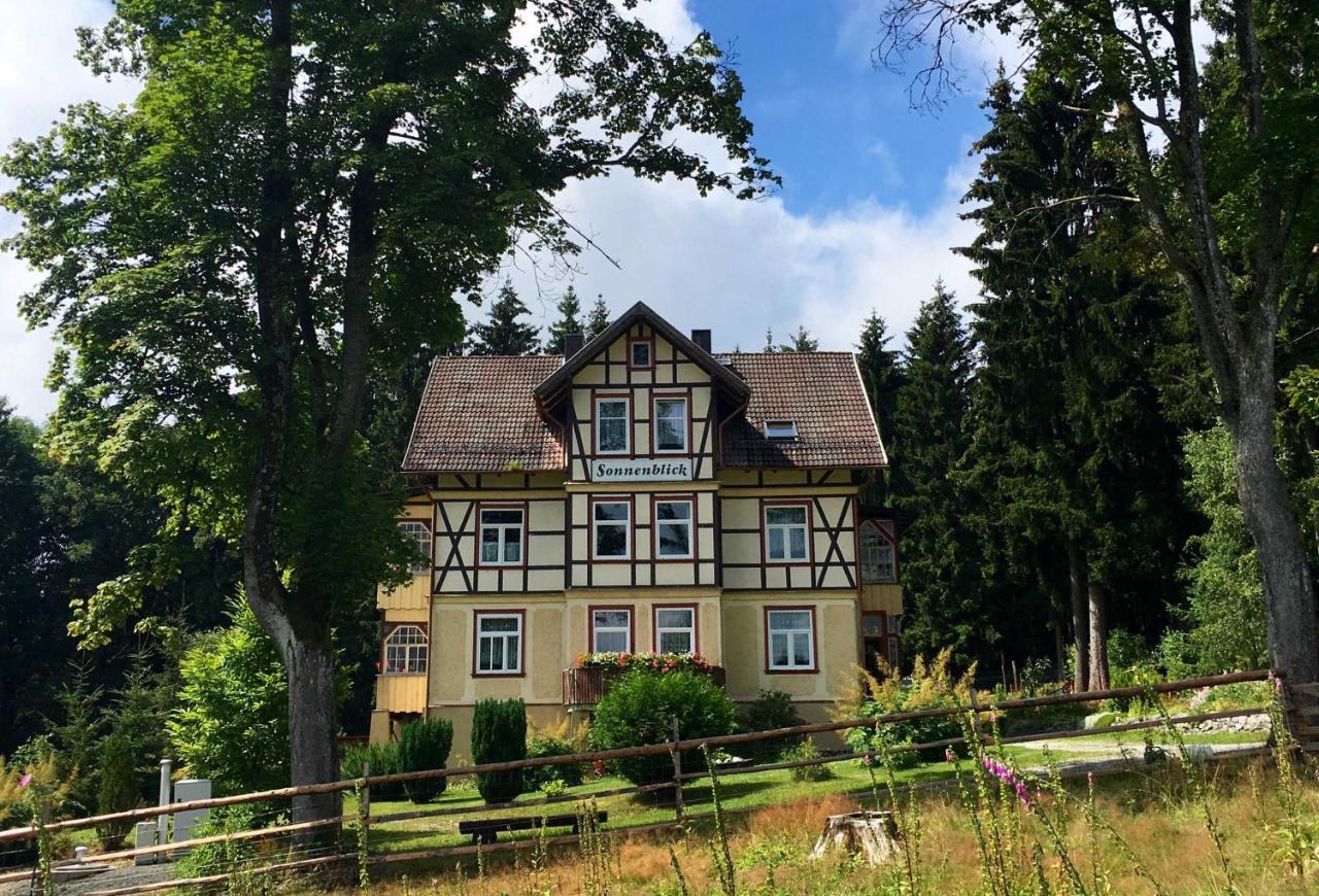 Apartamento Haus Sonnenblick Benneckenstein Exterior foto