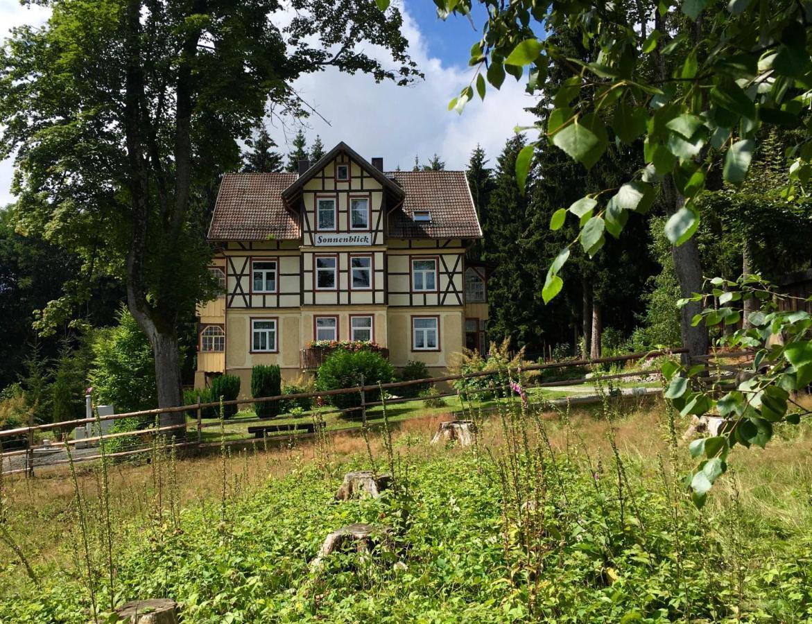 Apartamento Haus Sonnenblick Benneckenstein Exterior foto