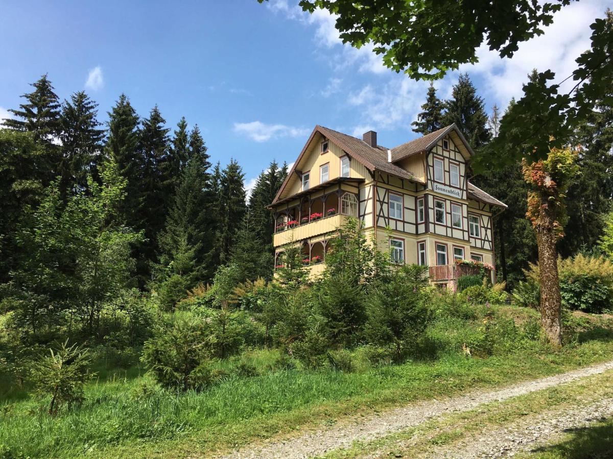 Apartamento Haus Sonnenblick Benneckenstein Exterior foto