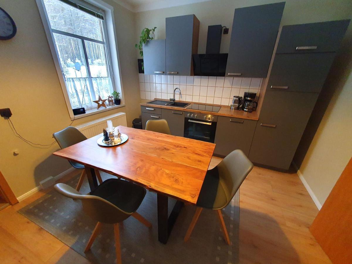 Apartamento Haus Sonnenblick Benneckenstein Exterior foto